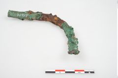 Foto von Bronzeschaukelfußreif (NHMW-PRAE-026631)